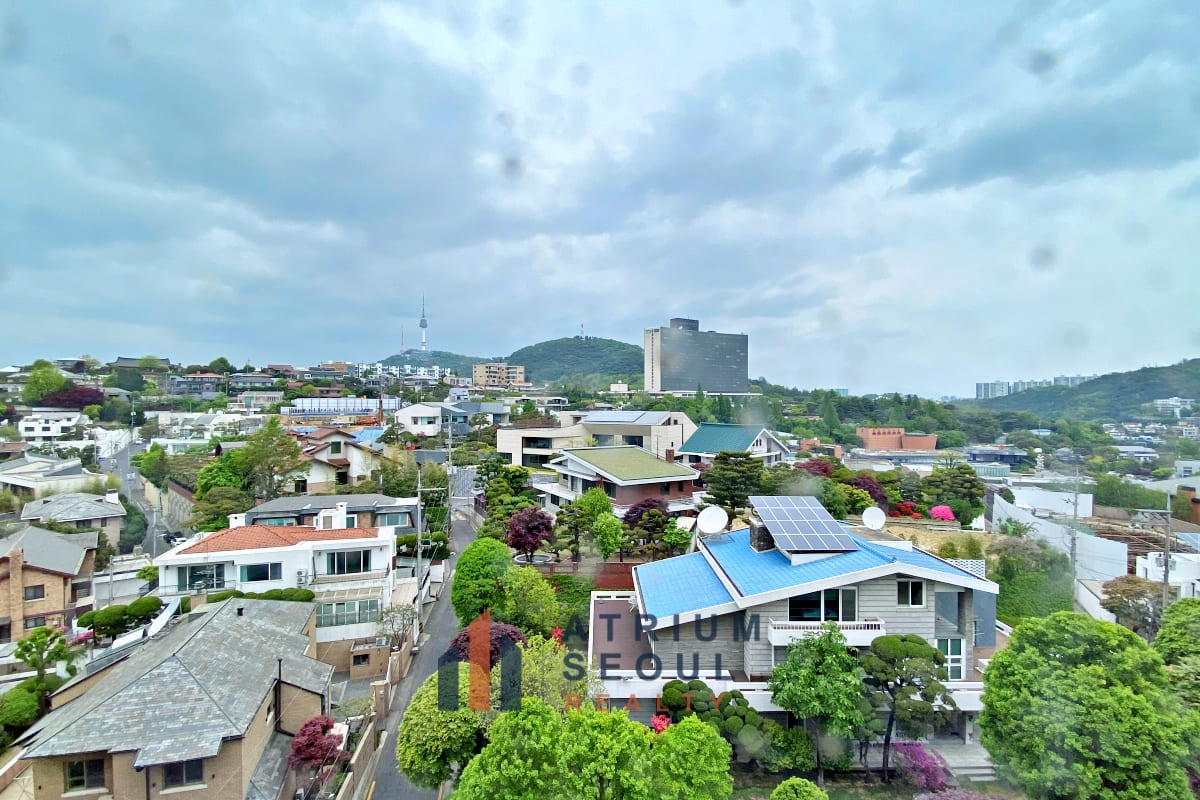 view1
